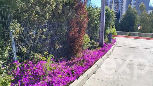 DEPARTAMENTO Navio San Martin 315