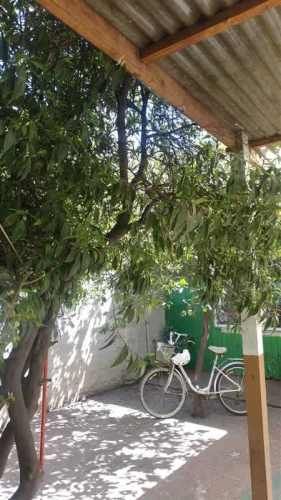 LOCAL COMERCIAL Bernardo Ohiggins