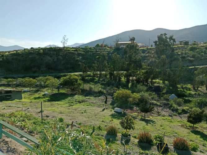CASA Sector la estrella camino al valle del elqui