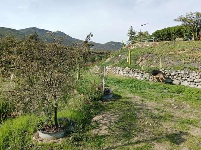 CASA Sector la estrella camino al valle del elqui