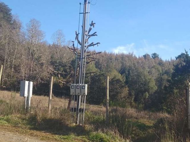 VENTA DE PARCELA PLANTADO CON  EUCALIPTOS