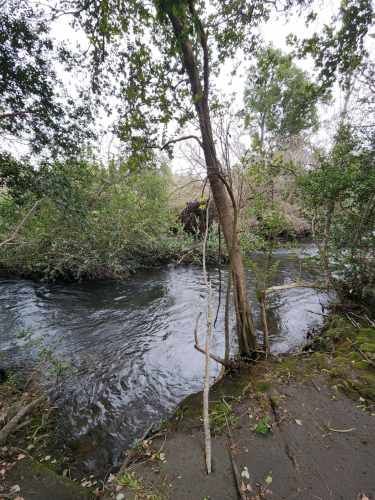 ¡Tu Parcela soñada te espera en Pedregal, Los Angeles!