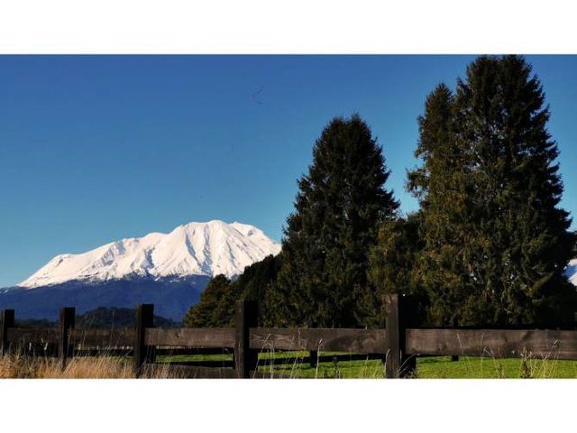 Proyecto en Verde BOSQUE DEL RIO – Puerto Varas