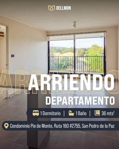 SE ARRIENDA DEPTO 1D1B EN SAN PEDRO DE LA PAZ