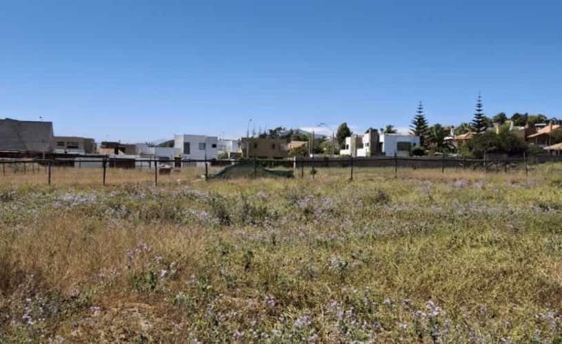 Sitio ROSARIO DE PEÑUELAS