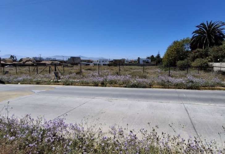 Sitio ROSARIO DE PEÑUELAS