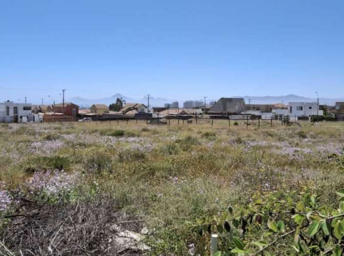 Sitio ROSARIO DE PEÑUELAS