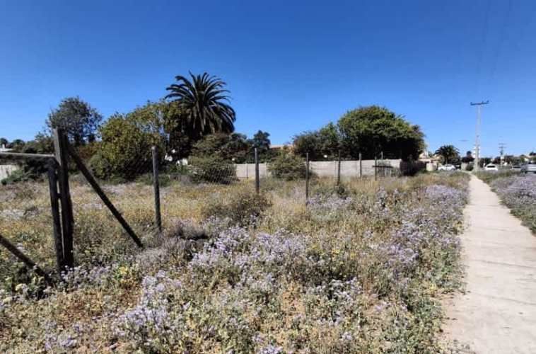 Sitio ROSARIO DE PEÑUELAS