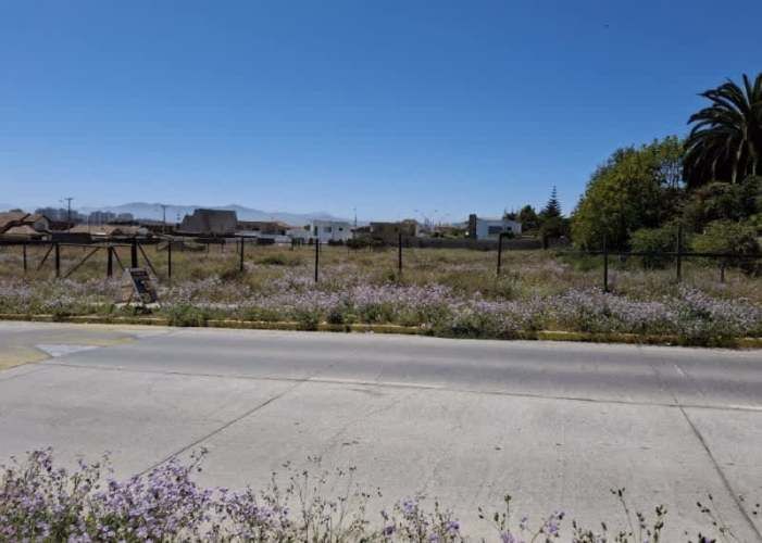 Sitio ROSARIO DE PEÑUELAS