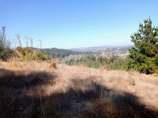 EXCELENTE!! Parcela de 5.000 m2 con una Vista Espectacular en Lomas de Cahuil, Pichilemu