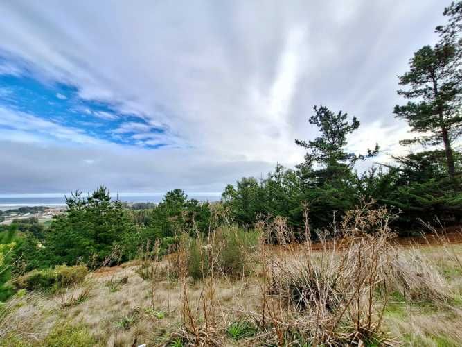 EXCELENTE!! Parcela de 5.000 m2 con una Vista Espectacular en Lomas de Cahuil, Pichilemu