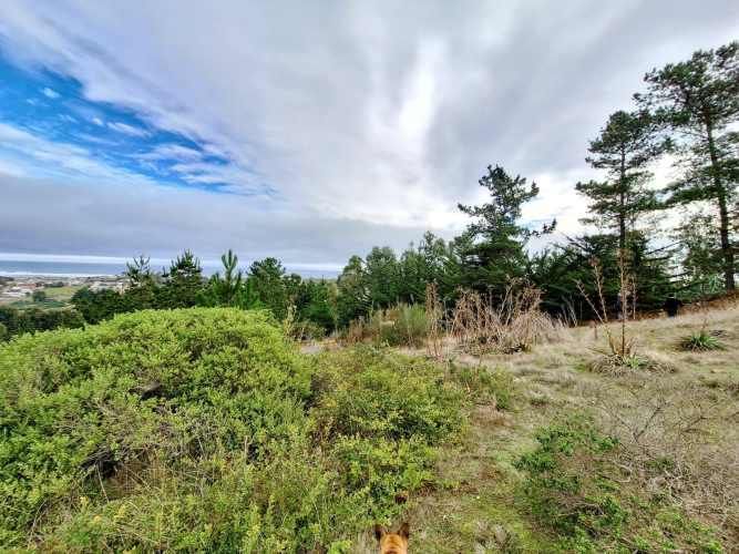 EXCELENTE!! Parcela de 5.000 m2 con una Vista Espectacular en Lomas de Cahuil, Pichilemu