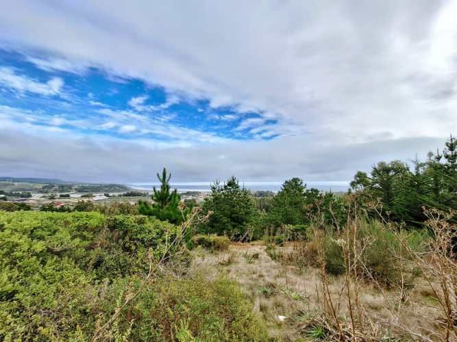 EXCELENTE!! Parcela de 5.000 m2 con una Vista Espectacular en Lomas de Cahuil, Pichilemu