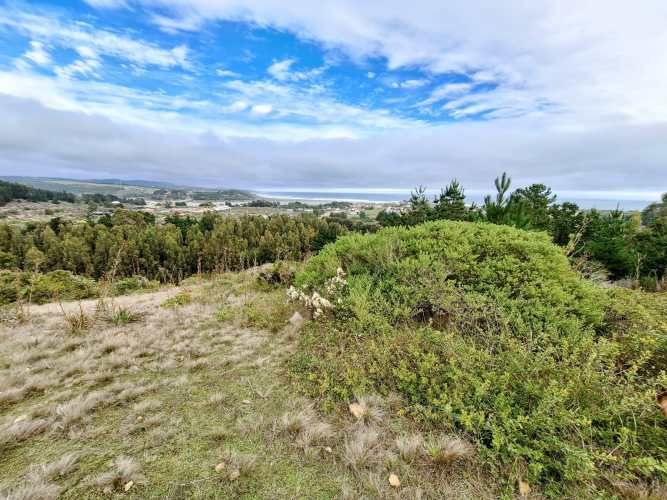 EXCELENTE!! Parcela de 5.000 m2 con una Vista Espectacular en Lomas de Cahuil, Pichilemu