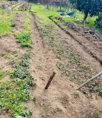 VENDO PARCELA CON CASA! PAINE SECTOR ACULEO