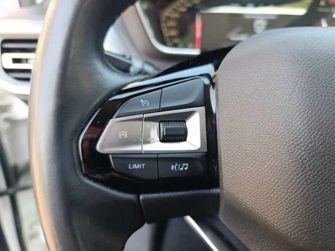 PEUGEOT LANDTREK 2024