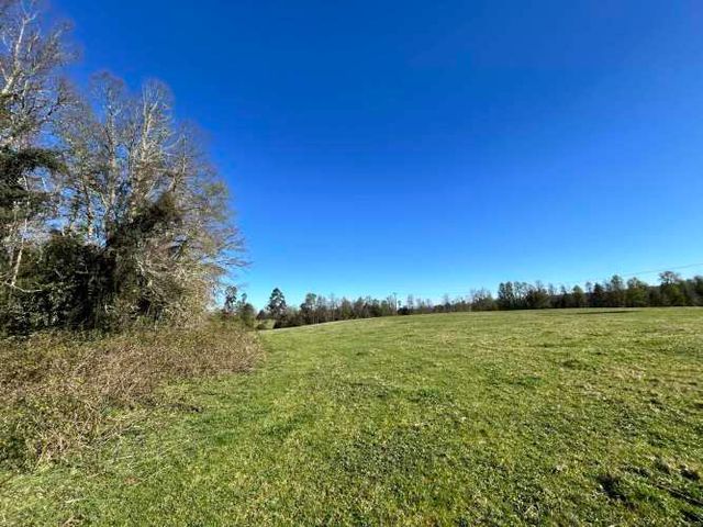 Vendo terreno agrícola de 10 Ha. Excelente acceso y gran potencial