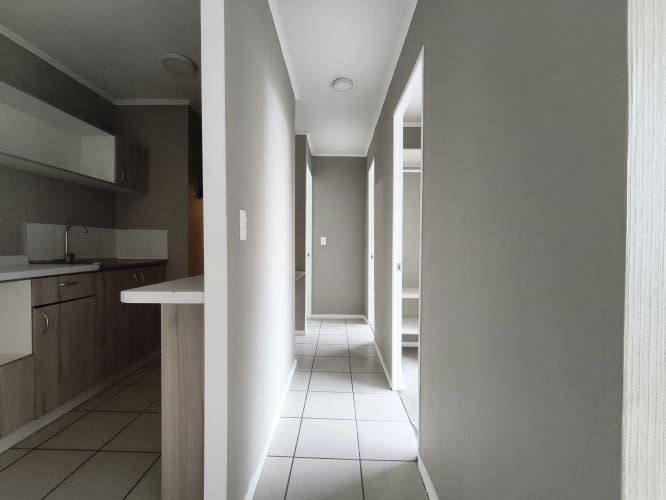 San Petersburgo 6351 [561-3]