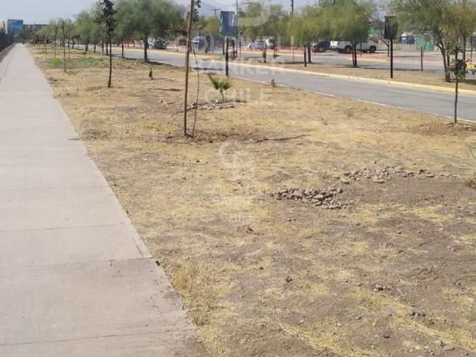 1  bodega Planta libre alta seguridad