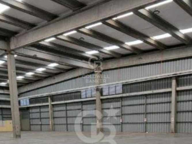 1  bodega Planta libre alta seguridad