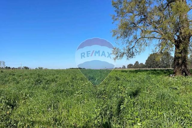 Parcela en ruta freire a villarrica