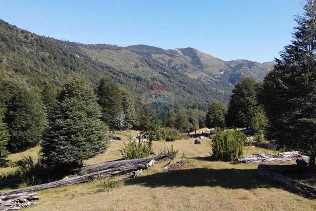 Venta campo 64ha curarrehue  pucón