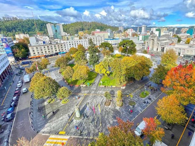 Oficina 5 privados centro de Concepción  (120989)