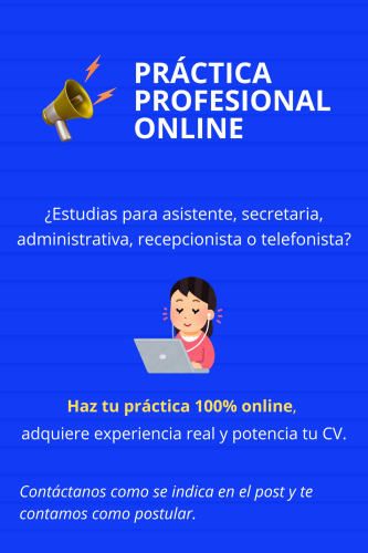 Practicante administrativo, asistente, secretaria, telefonista