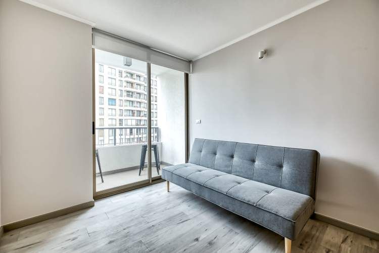 Vicuña Urban [1322-1]