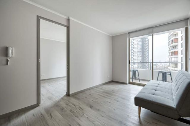 Vicuña Urban [1322-1]