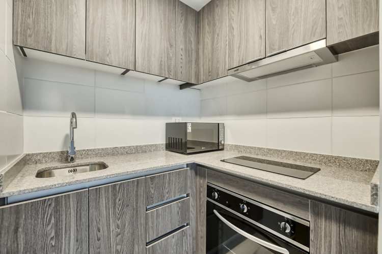 Vicuña Urban [1322-1]