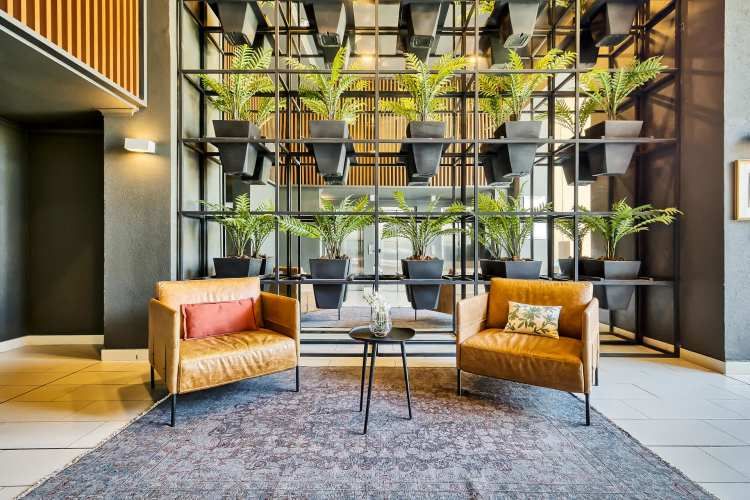 Vicuña Urban [1322-1]