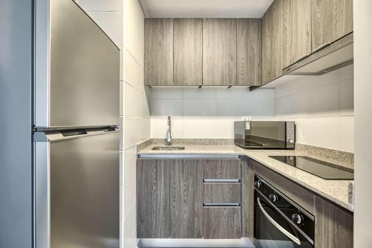 Vicuña Urban [1322-1]