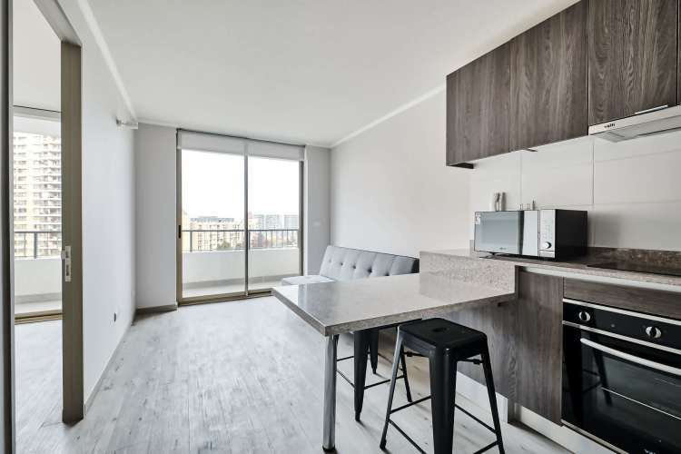 Vicuña Urban [1322-1]