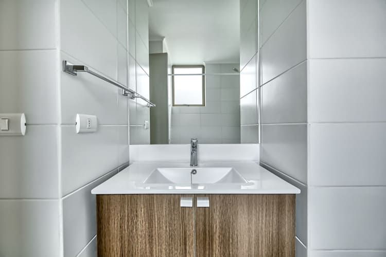 Vicuña Urban [1322-1]