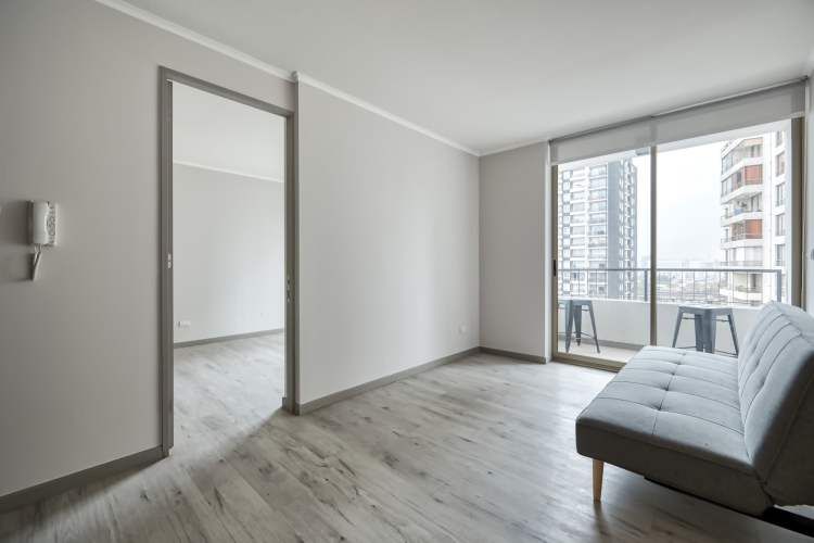 Vicuña Urban [1322-1]