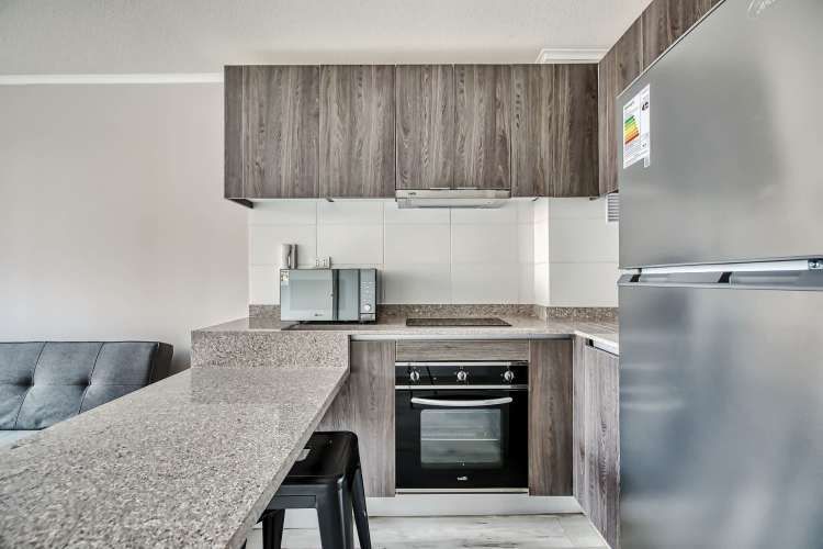 Vicuña Urban [1322-1]