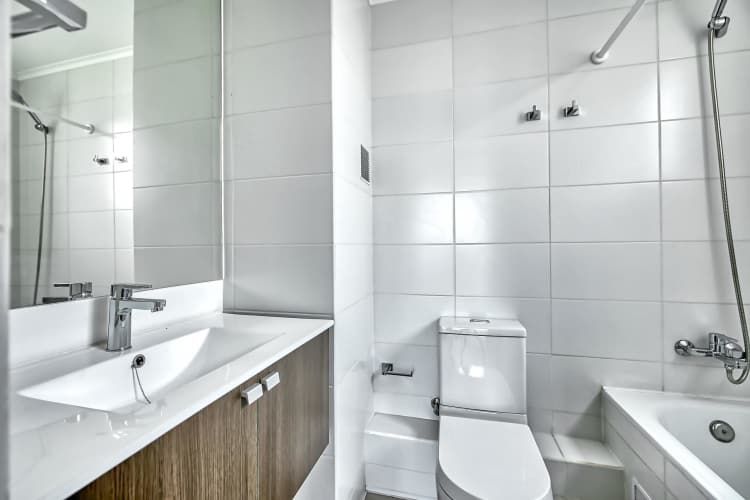 Vicuña Urban [1322-1]