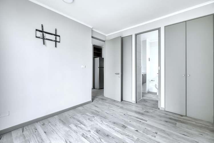 Vicuña Urban [1322-1]