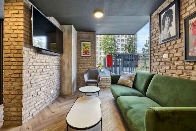 Vicuña Urban [1322-1]