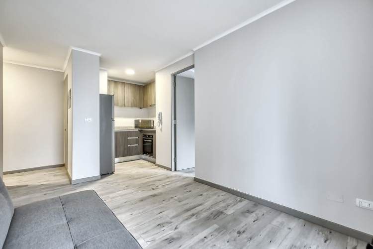 Vicuña Urban [1322-1]