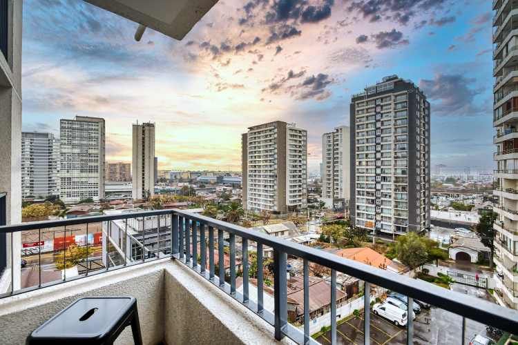 Vicuña Urban [1322-1]