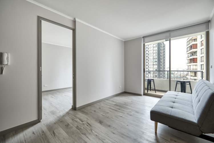 Vicuña Urban [1322-1]