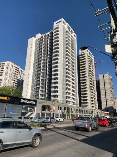 Vicuña Urban [1322-1]