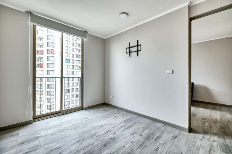 Vicuña Urban [1322-1]