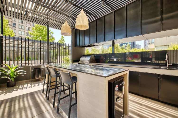 Vicuña Urban [1322-1]