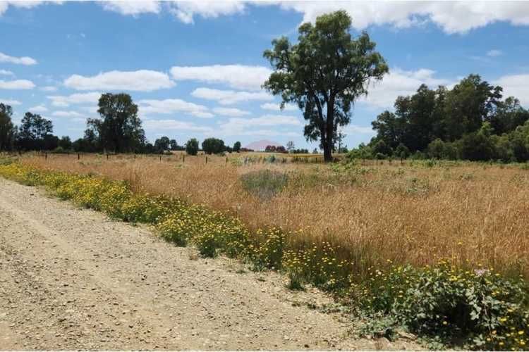 Venta parcela con acceso a rio