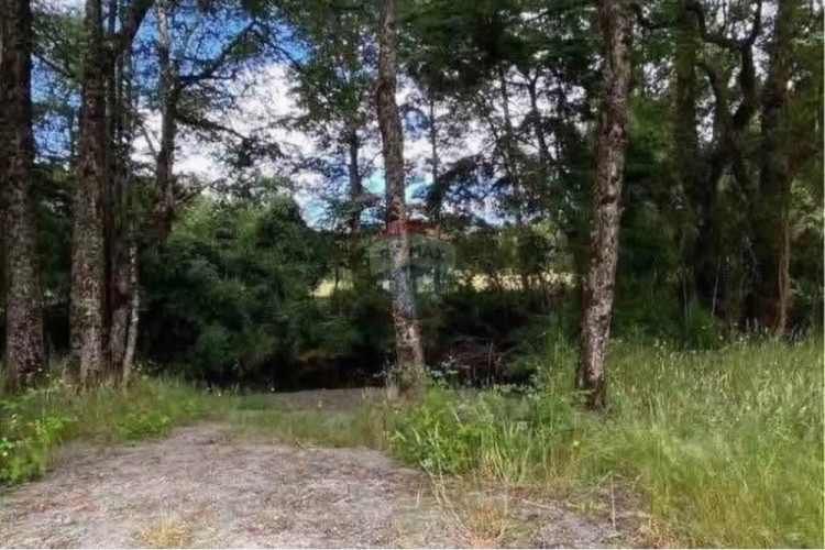 Venta parcela con acceso a rio