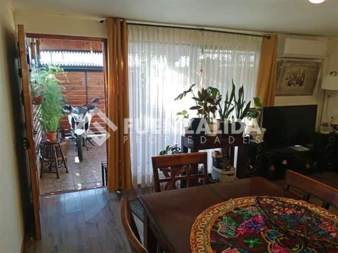 CASA Julio Cesar / Lápiz Lazuli