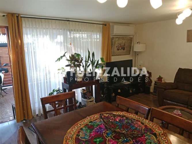 CASA Julio Cesar / Lápiz Lazuli